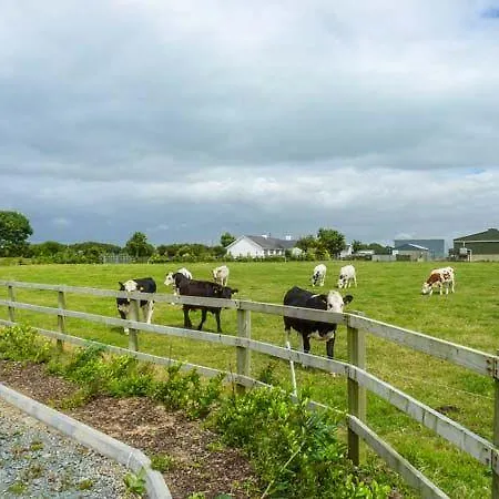 Vernegly Bannow
